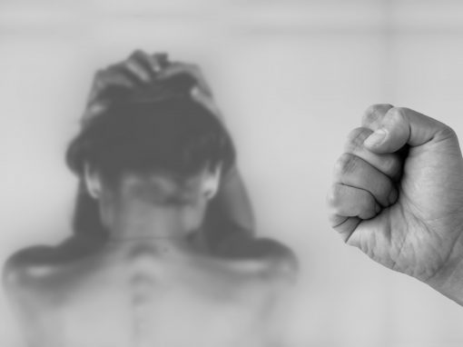 Curso de Lenguaje inclusivo 13 Curso de Prevención de la Violencia de Género