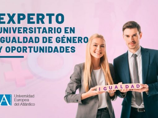 Selección inclusiva 24 Curso de Experto en Igualdad de Género y Oportunidades
