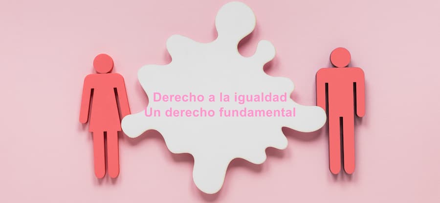 Derecho a la igualdad de género en la empresa, un derecho fundamental