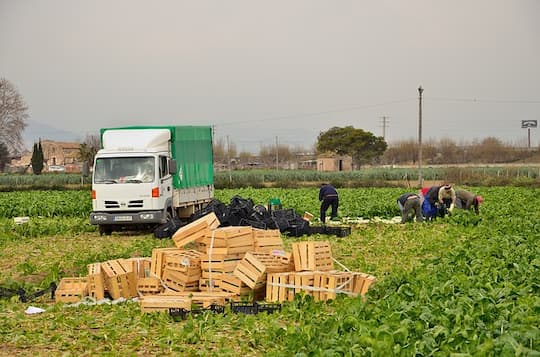 plantilla-variable-trabajadores-del-campo