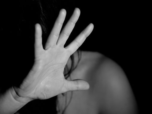 Curso de Lenguaje inclusivo 17 Curso de Prevención de la Violencia de Género