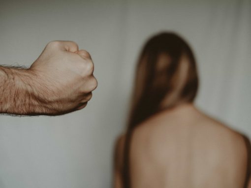 Selección inclusiva 27 Curso de Prevención de la Violencia de Género