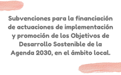 Objetivos de la Agenda 2030: Subvenciones.